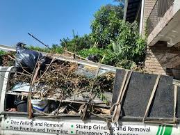 Shed Removal in Mount Olive, IL