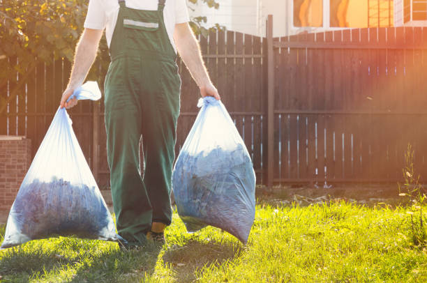 Best Hoarding Cleanup  in Mount Olive, IL